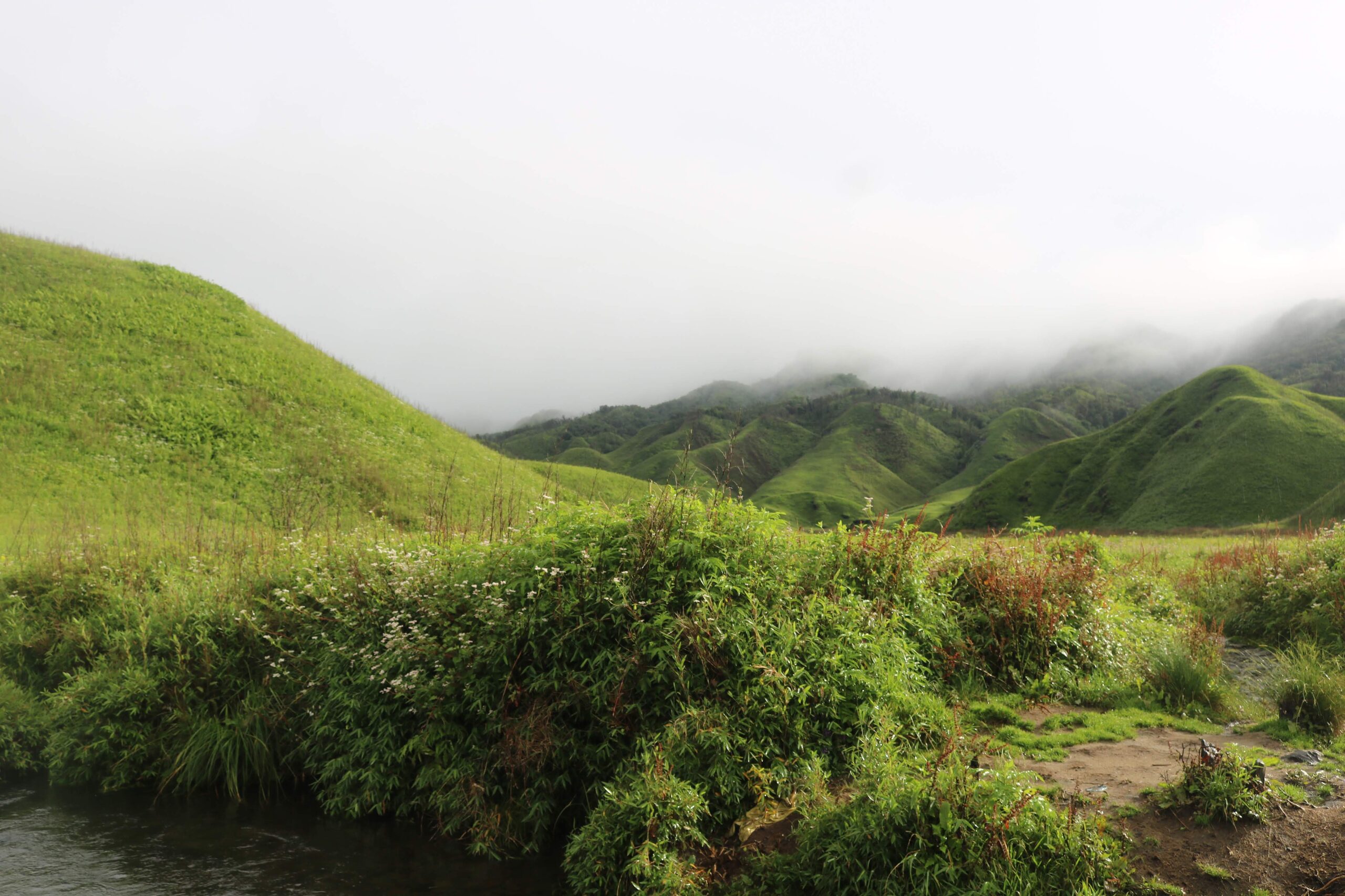 Dzukou Valley, Nagaland, India