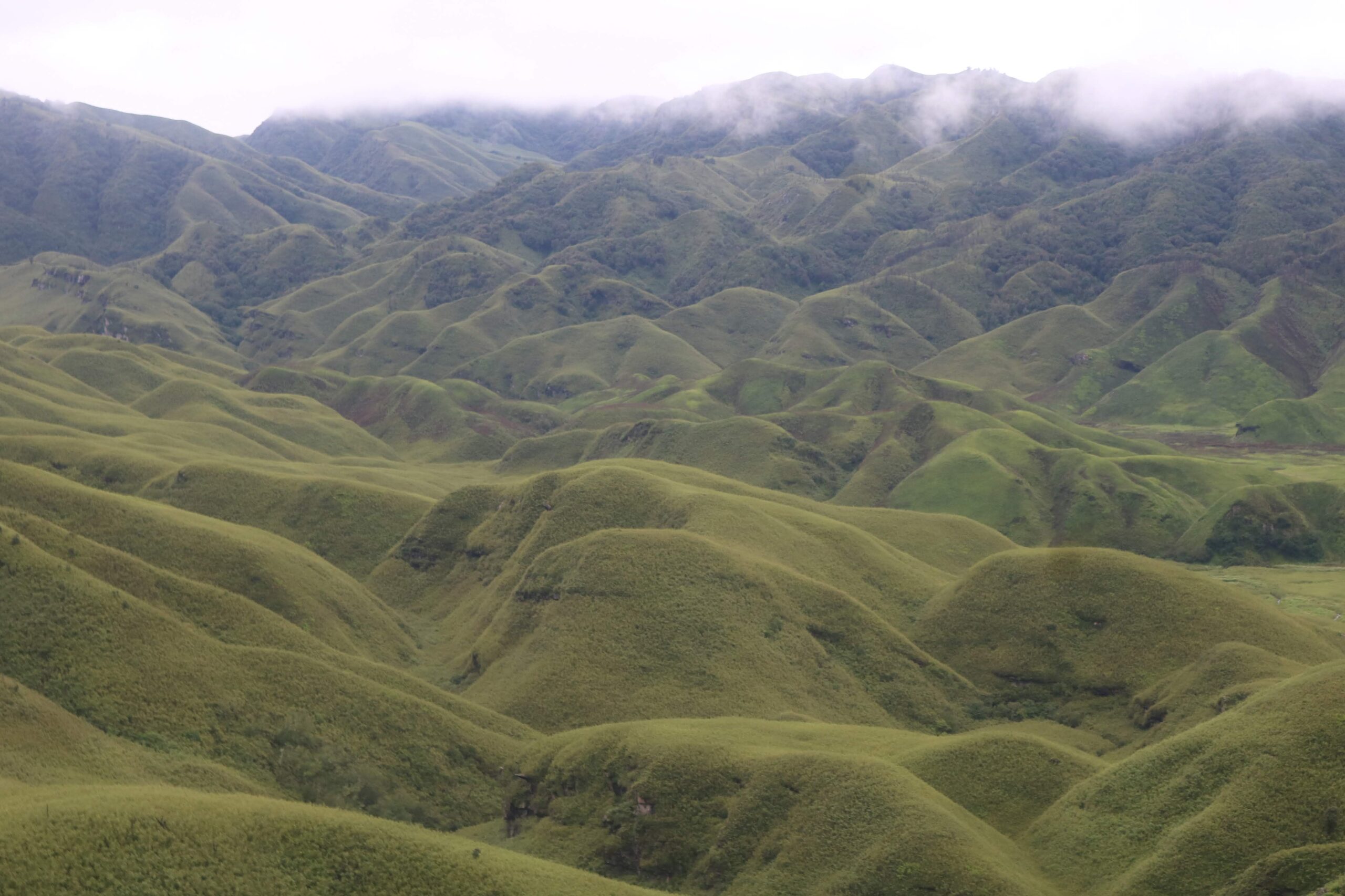 Dzukou Valley, Nagaland, India