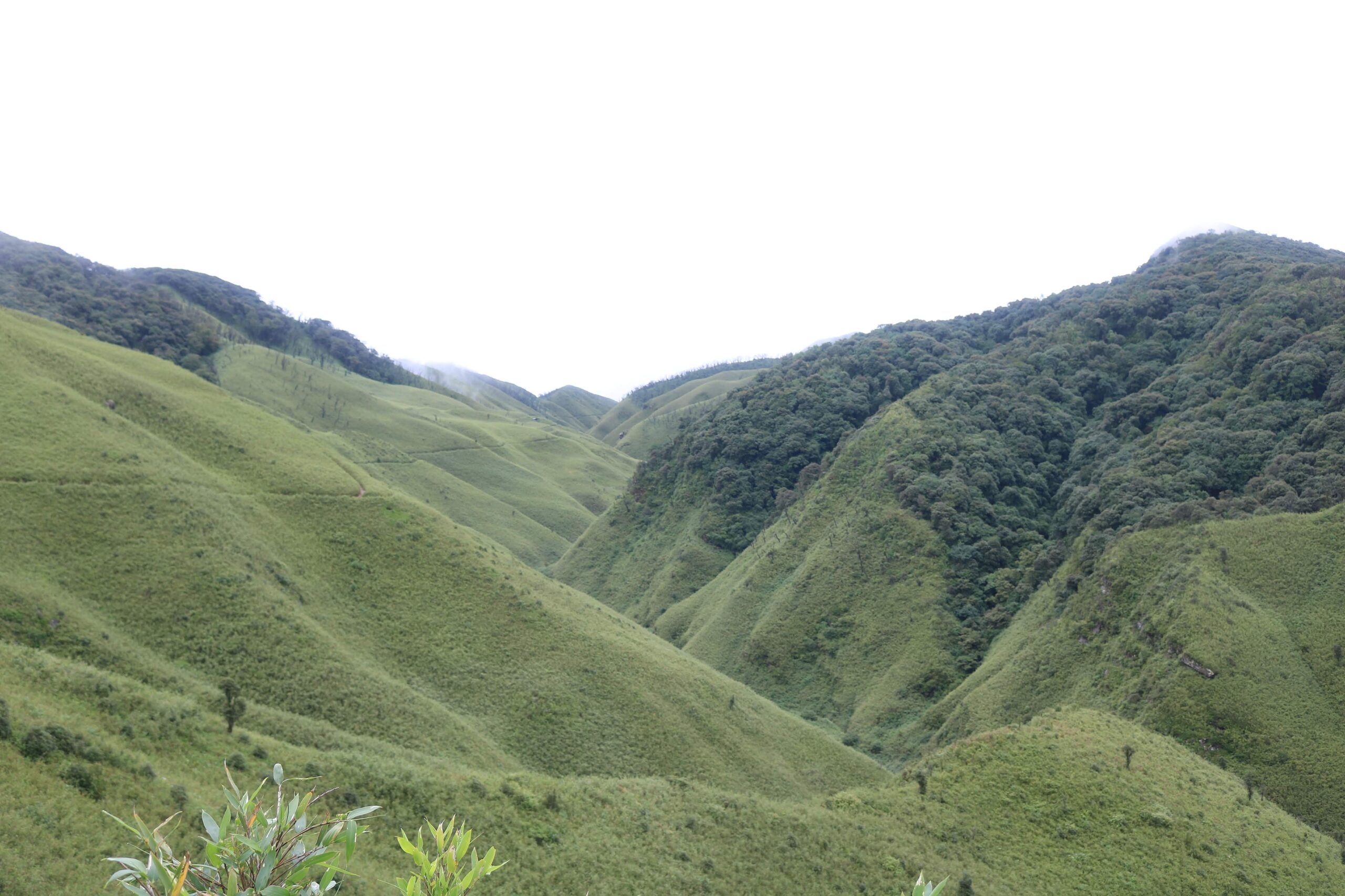 Dzukou Valley, Nagaland, India