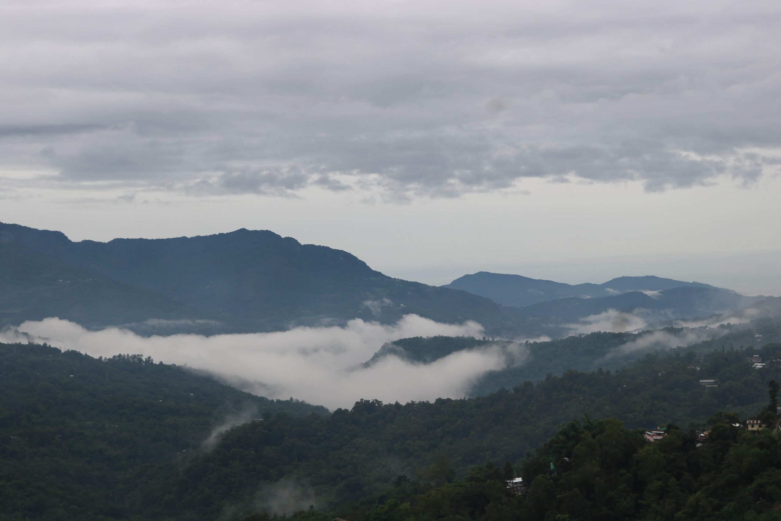 Dzukou Valley, Nagaland, India