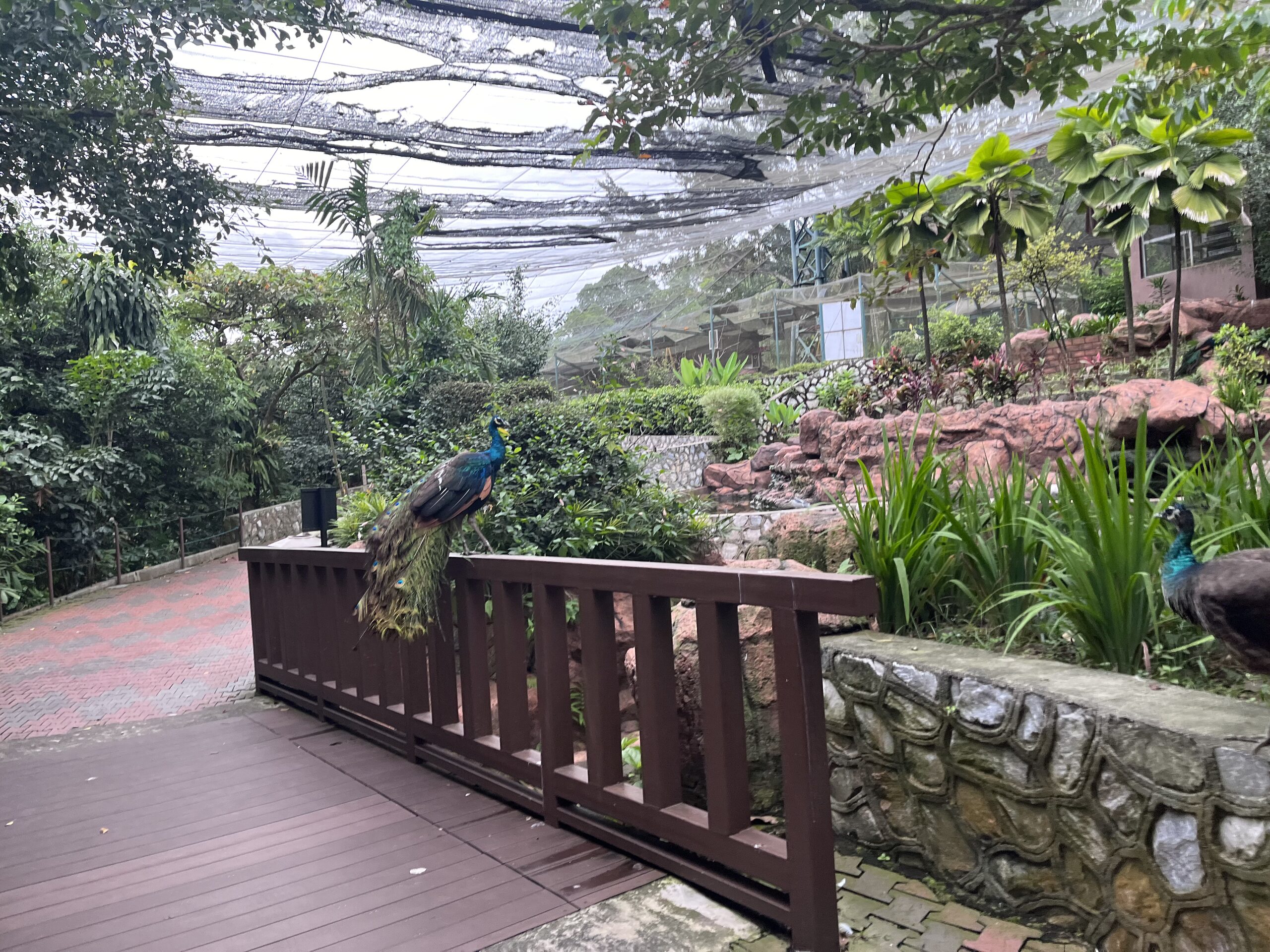 Kuala Lumpur, Malaysia
